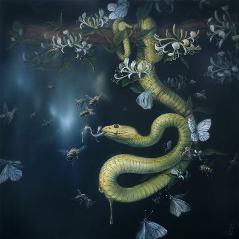 Dewi Plass - Tangle (A Connection So Sweet)