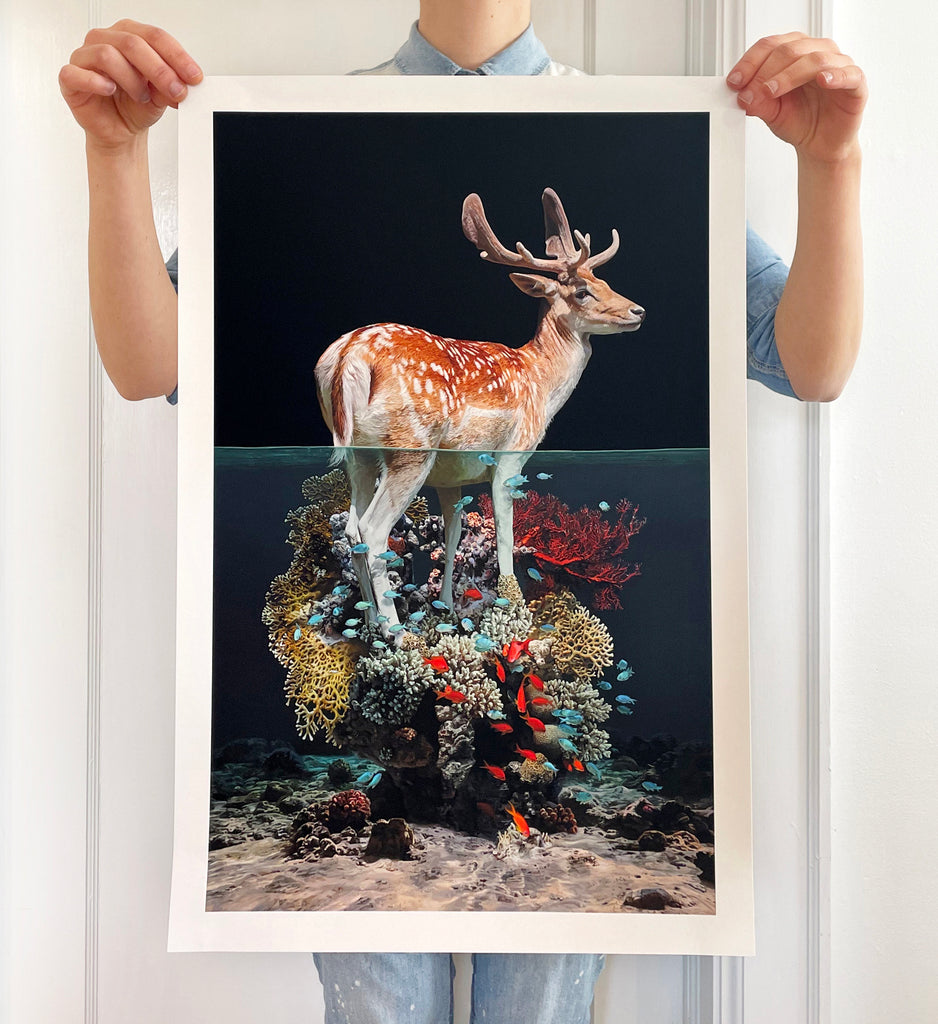 Lisa Ericson - High Tide: Ltd Edition Print