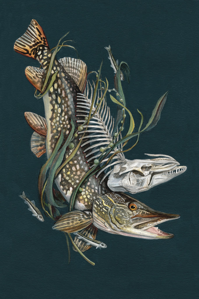 Christina Mrozik - Pike
