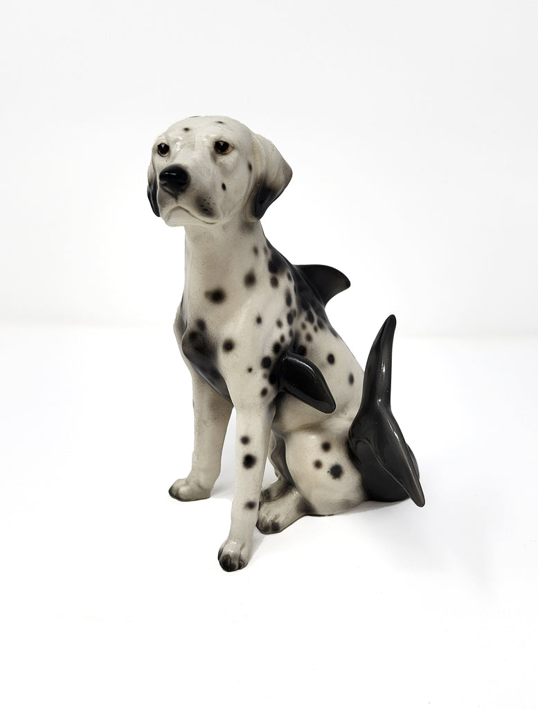 Debra Broz - Dalmatian Dolphin