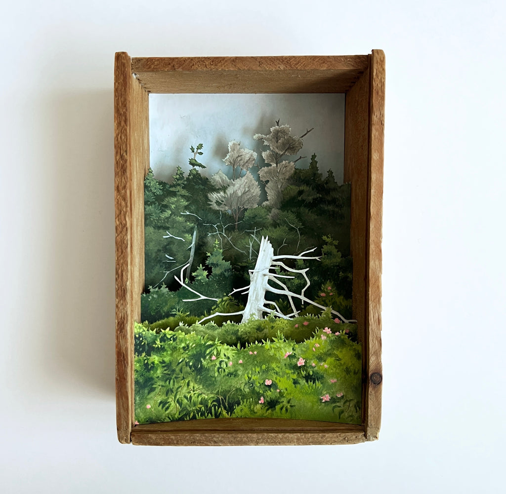 Allison May Kiphuth - Elder, July