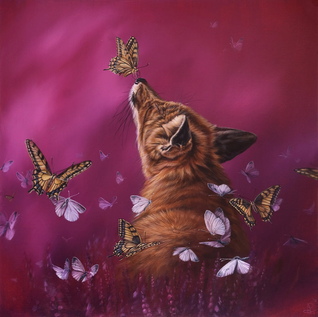 Dewi Plass - A day trip to the fields of curiosity and wonder