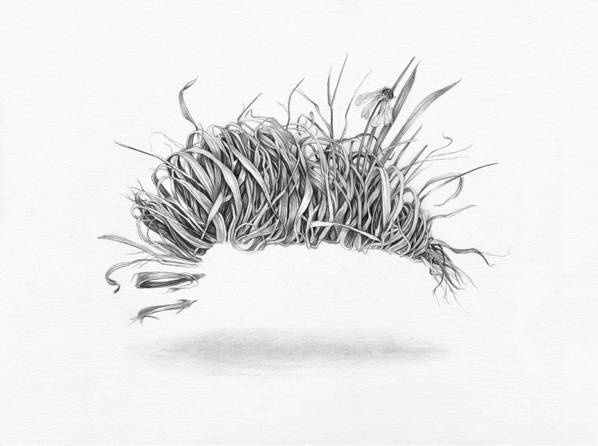 Christina Mrozik - Grass Spiral