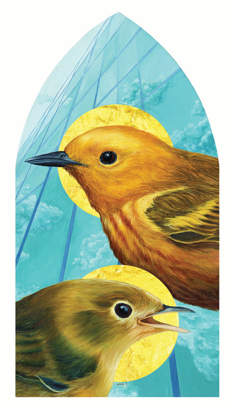 Bayla Arietta - Window Strike: Yellow Warbler
