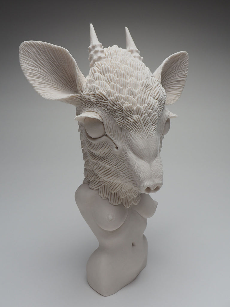 Crystal Morey - “Beyond the Borderland: Dik-dik”