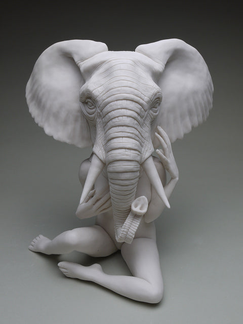 Crystal Morey - African Bush Elephant
