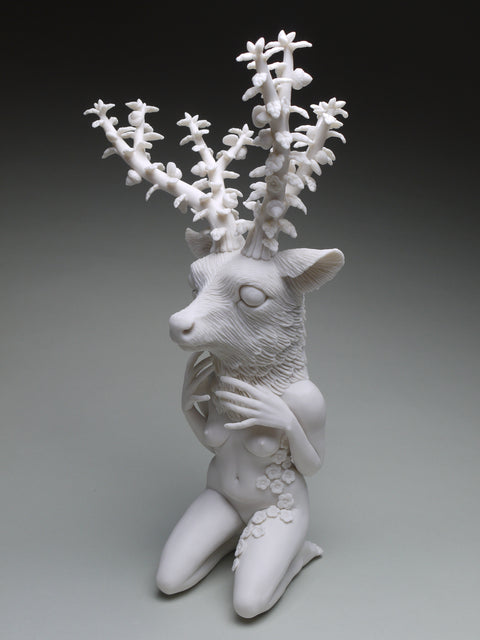 Crystal Morey - Lush Anthesis: Mule Deer