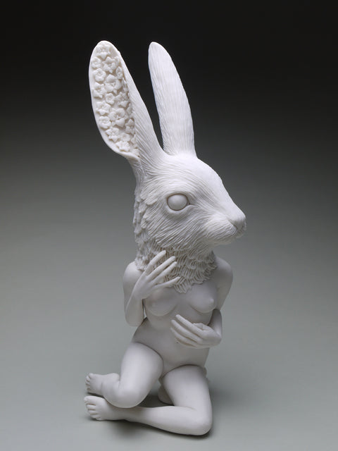 Crystal Morey - Lush Anthesis: White Tailed Jackrabbit