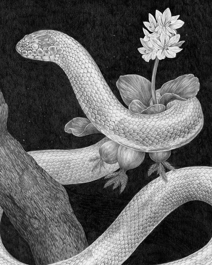 Zoe Keller - Are We Ghosts