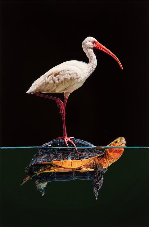 Lisa Ericson - In the Balance