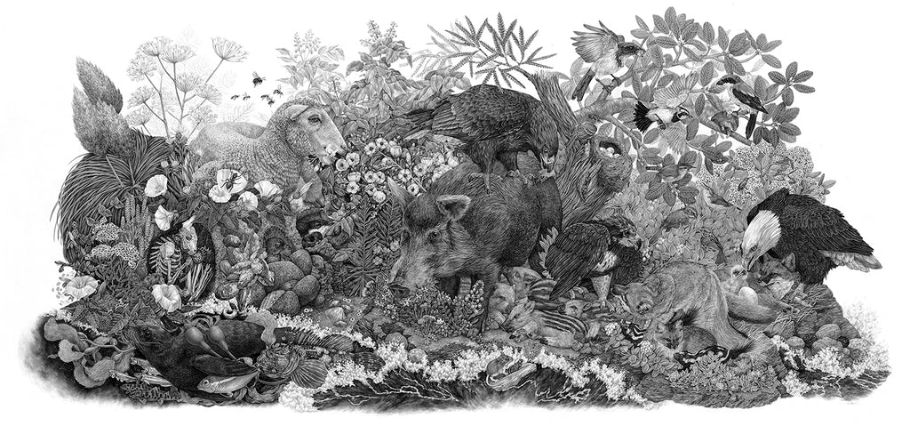 Zoe Keller - Limuw | Santa Cruz Island