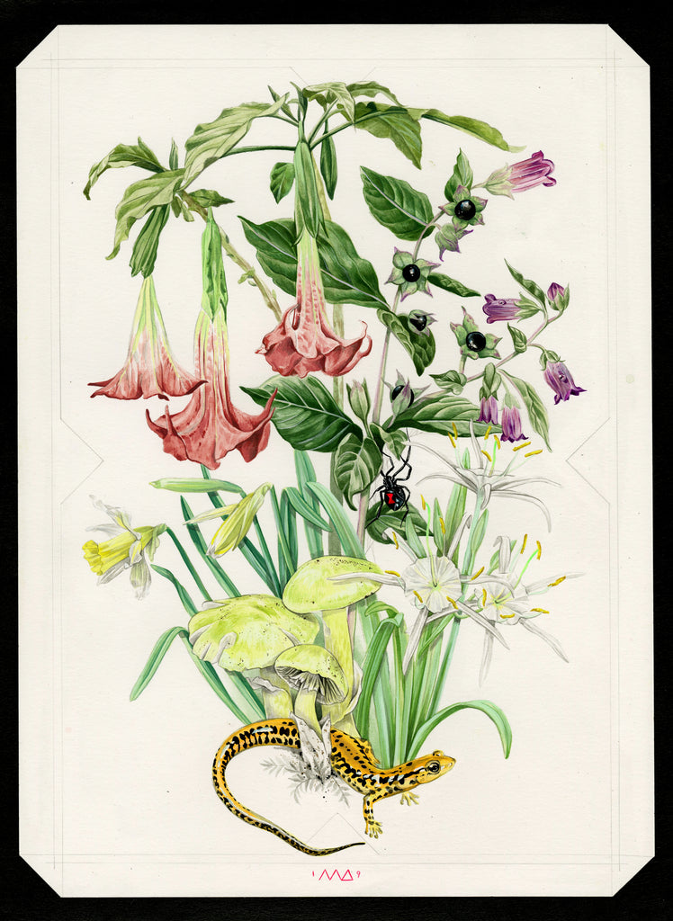 Meg Adamson - The Poison Path