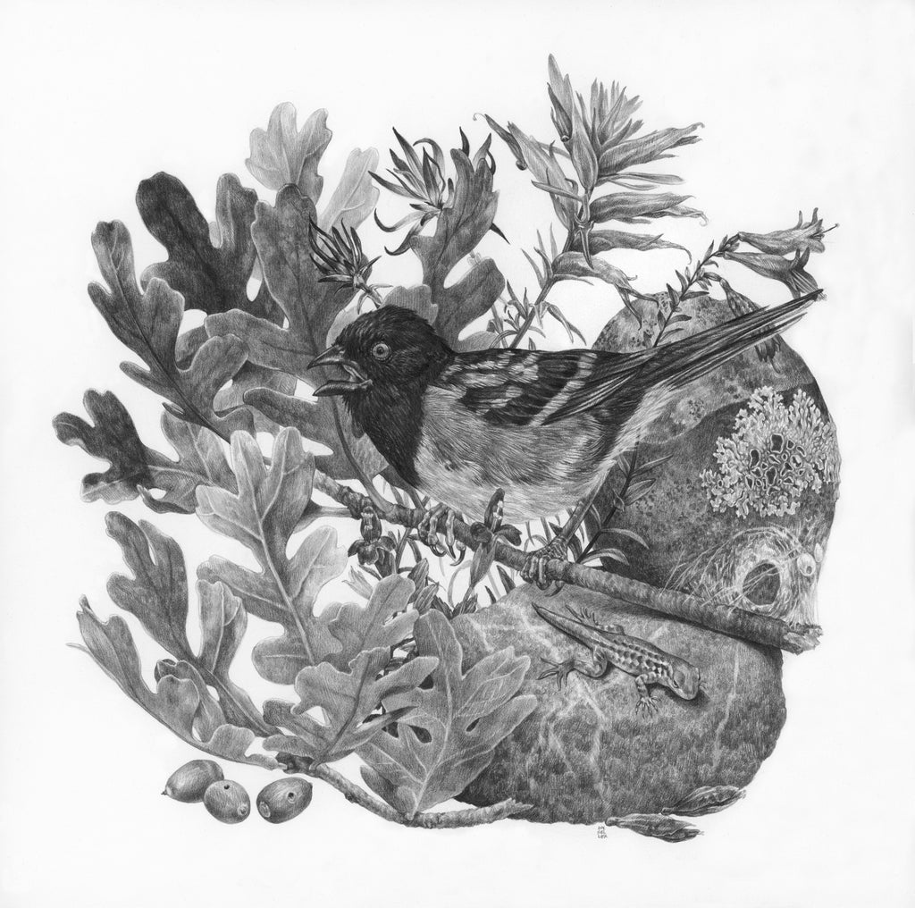 Zoe Keller - Observation Point