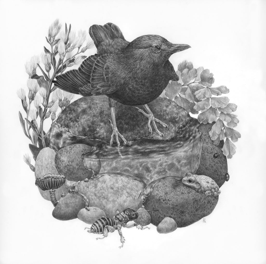 Zoe Keller - Riverside Walk