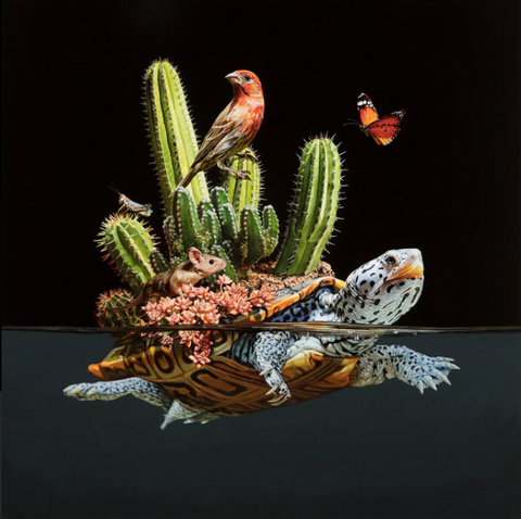 Lisa Ericson - Horizon