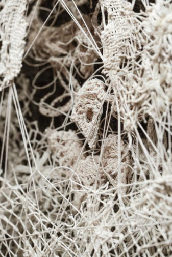 Caitlin McCormack - 366