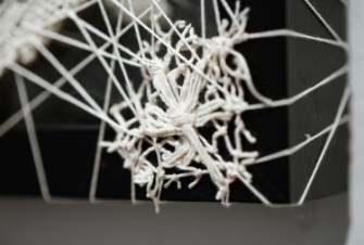 Caitlin McCormack - 366