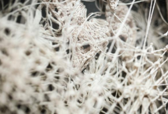 Caitlin McCormack - 366