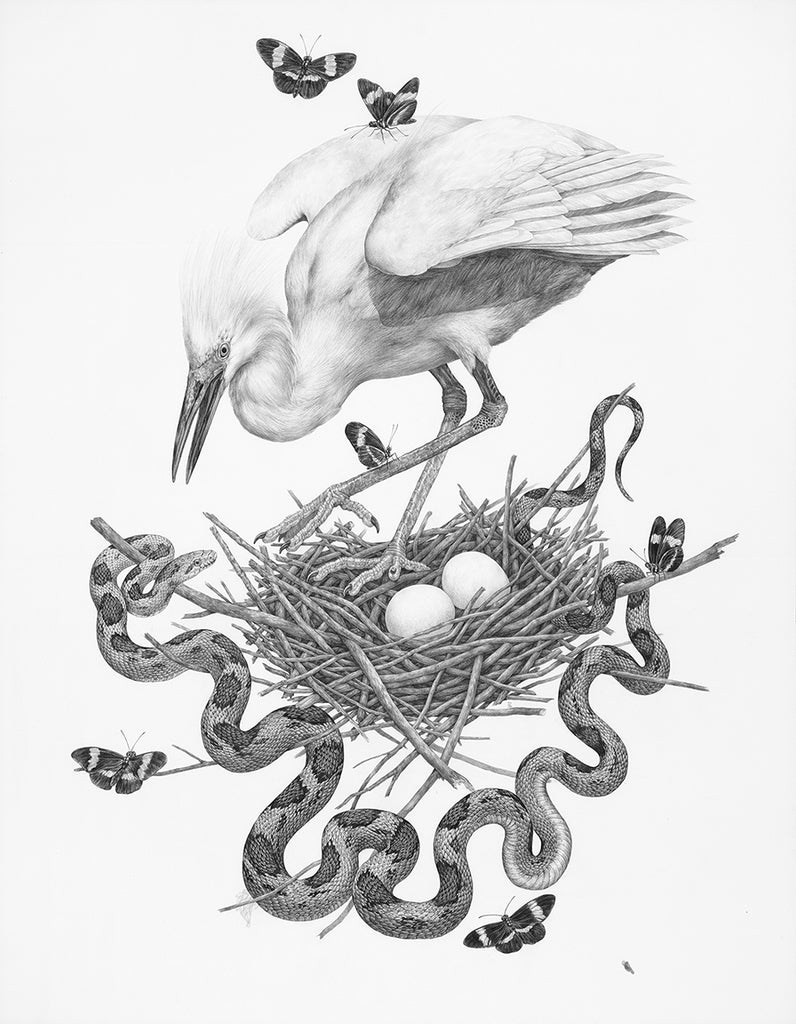 Zoe Keller - Set of Two: Snowy Egret with Gray Rat Snake & Freshwater Valley