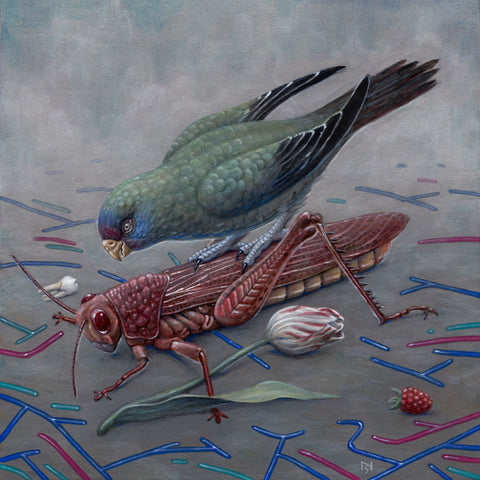 Nick Sheehy - The Parrot