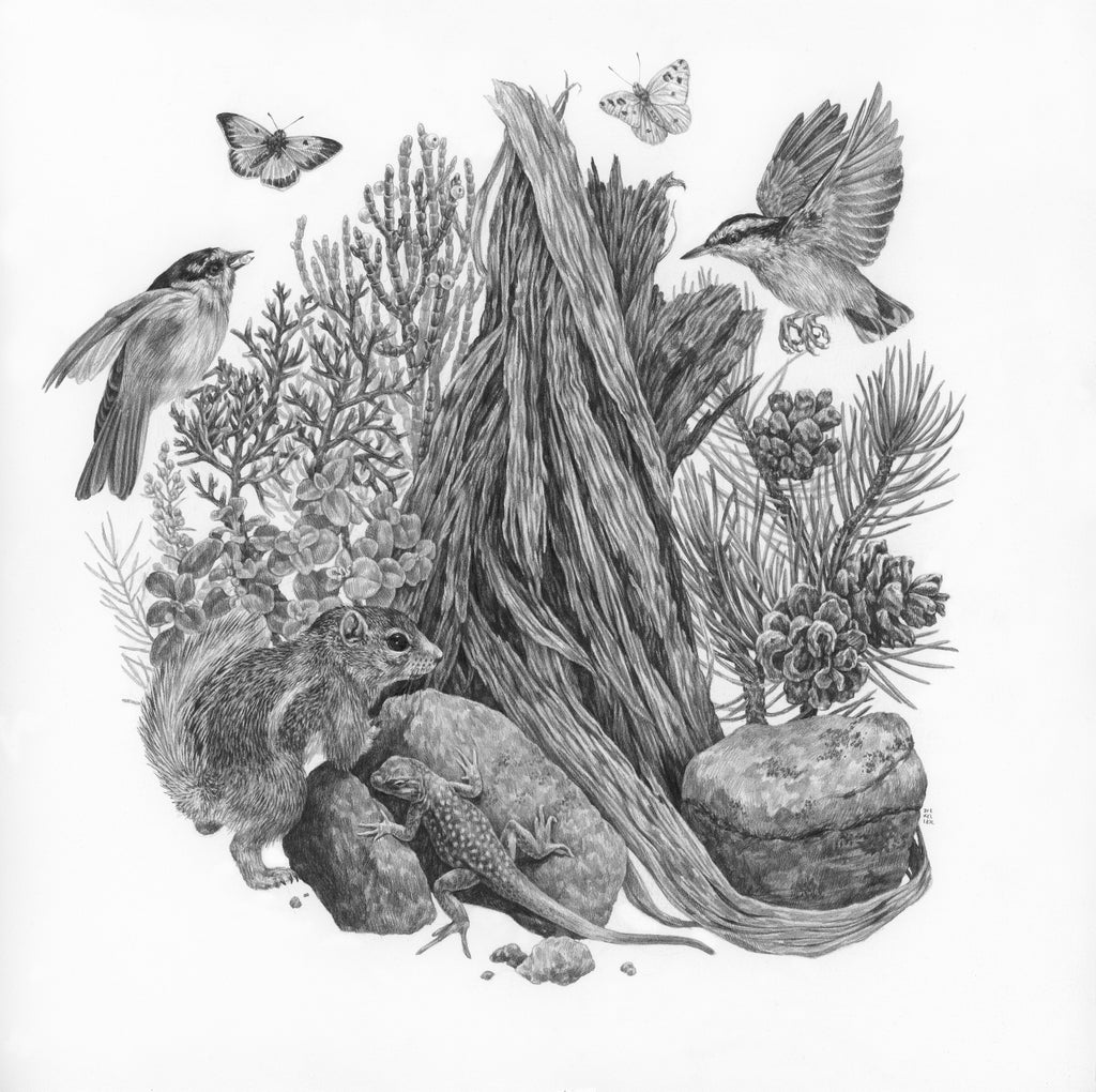 Zoe Keller - The Watchman