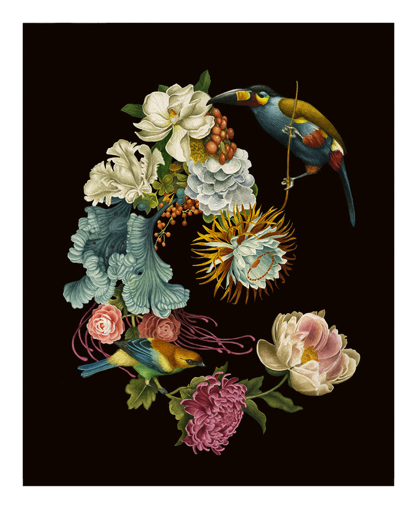 Lindsey Carr // Cluster