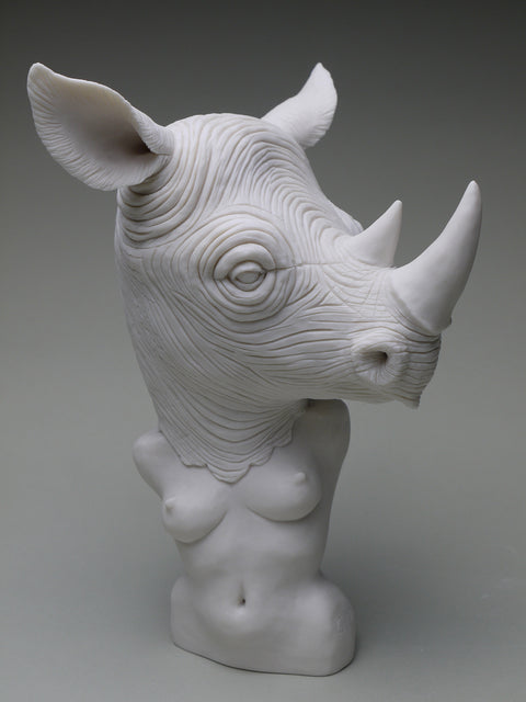 Crystal Morey “Beyond Borders: Rhino”