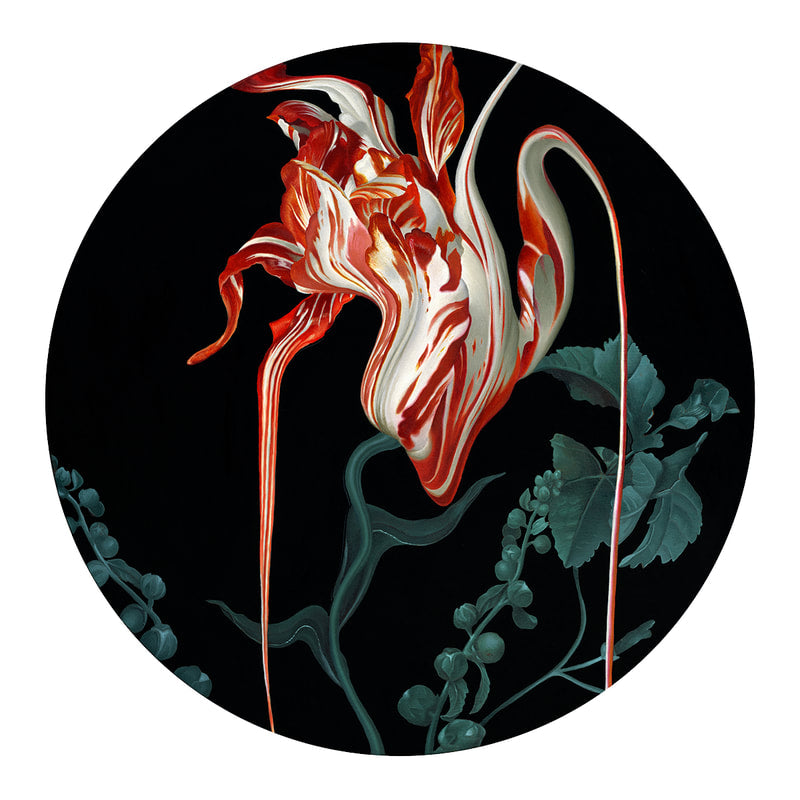 Lindsey Carr - Dutch I