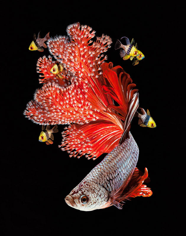 Lisa Ericson - Flame