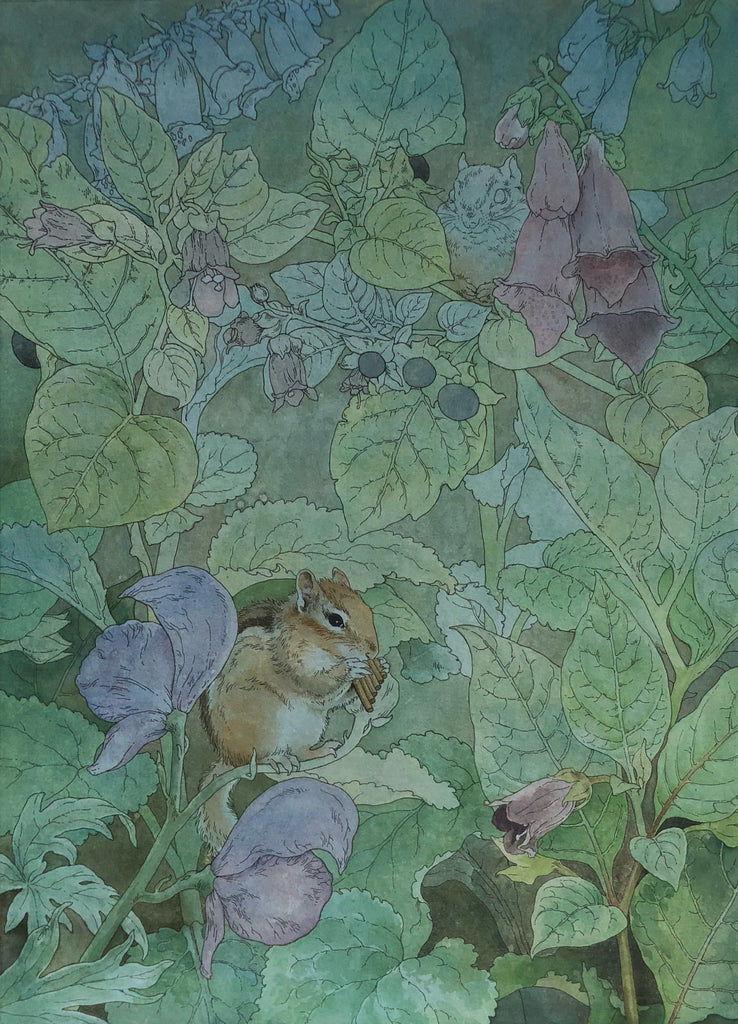 Lily Seika Jones Hidden