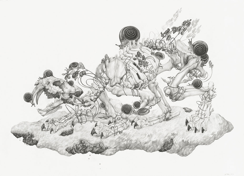 Zoe Keller - Glacial Relic