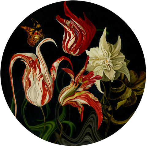 Lindsey Carr - Dutch II