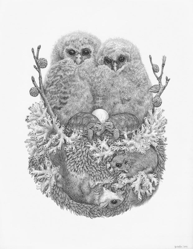 Zoe Keller - Lichens