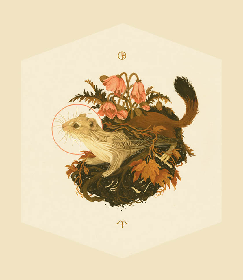 Teagan White - Mabon