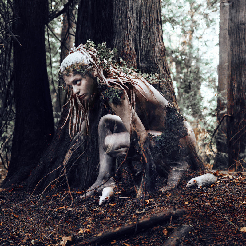 Kindra Nikole - Neráidos