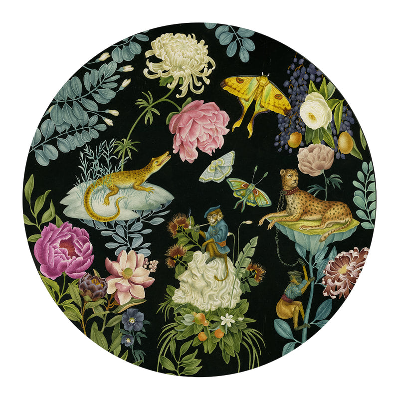 Lindsey Carr - Singerie