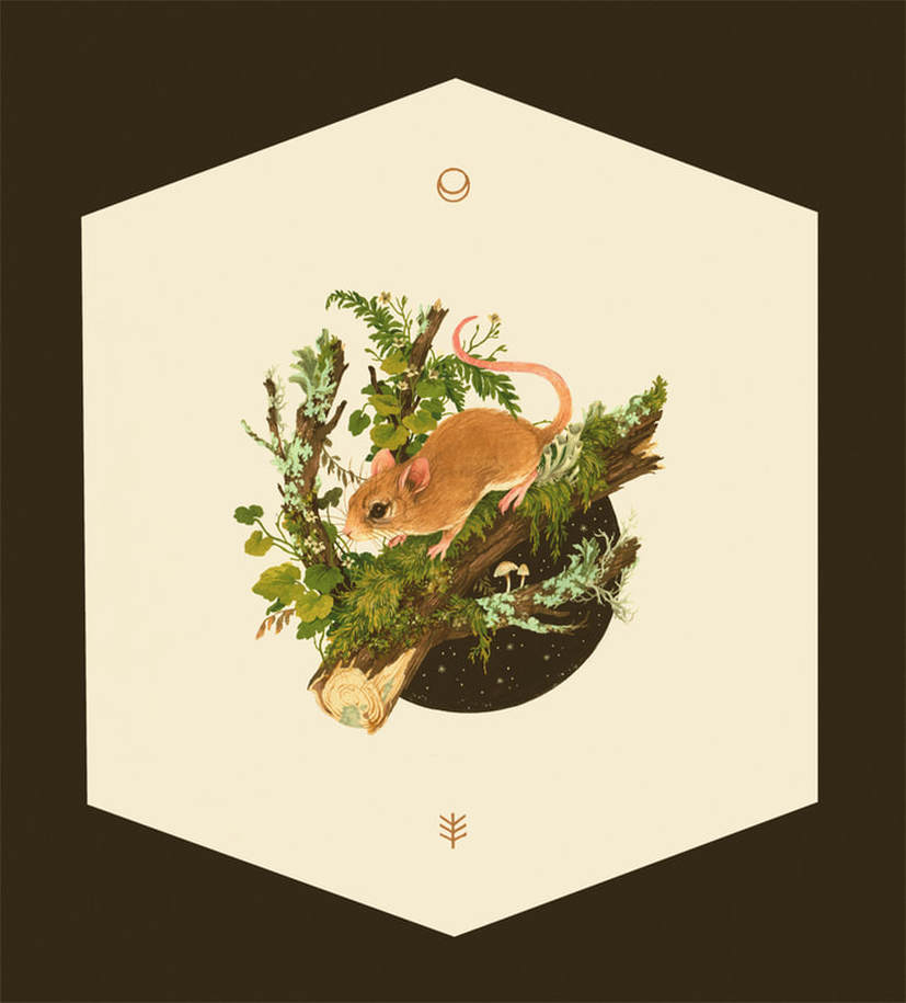 Teagan White - Beltane
