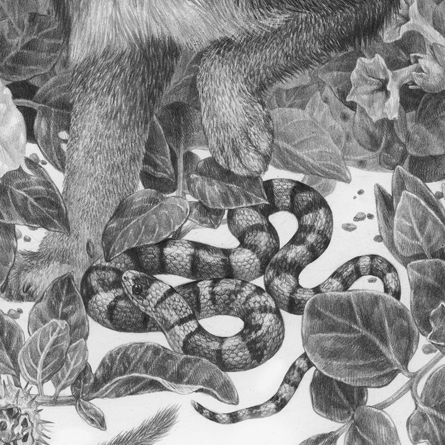 Zoe Keller - Zion at Night