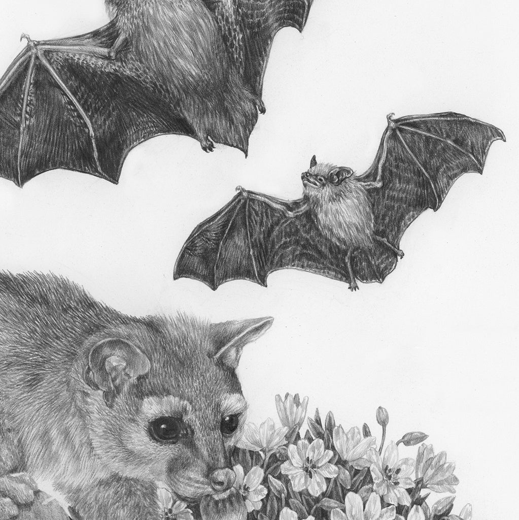 Zoe Keller - Zion at Night