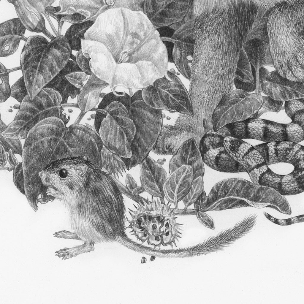 Zoe Keller - Zion at Night