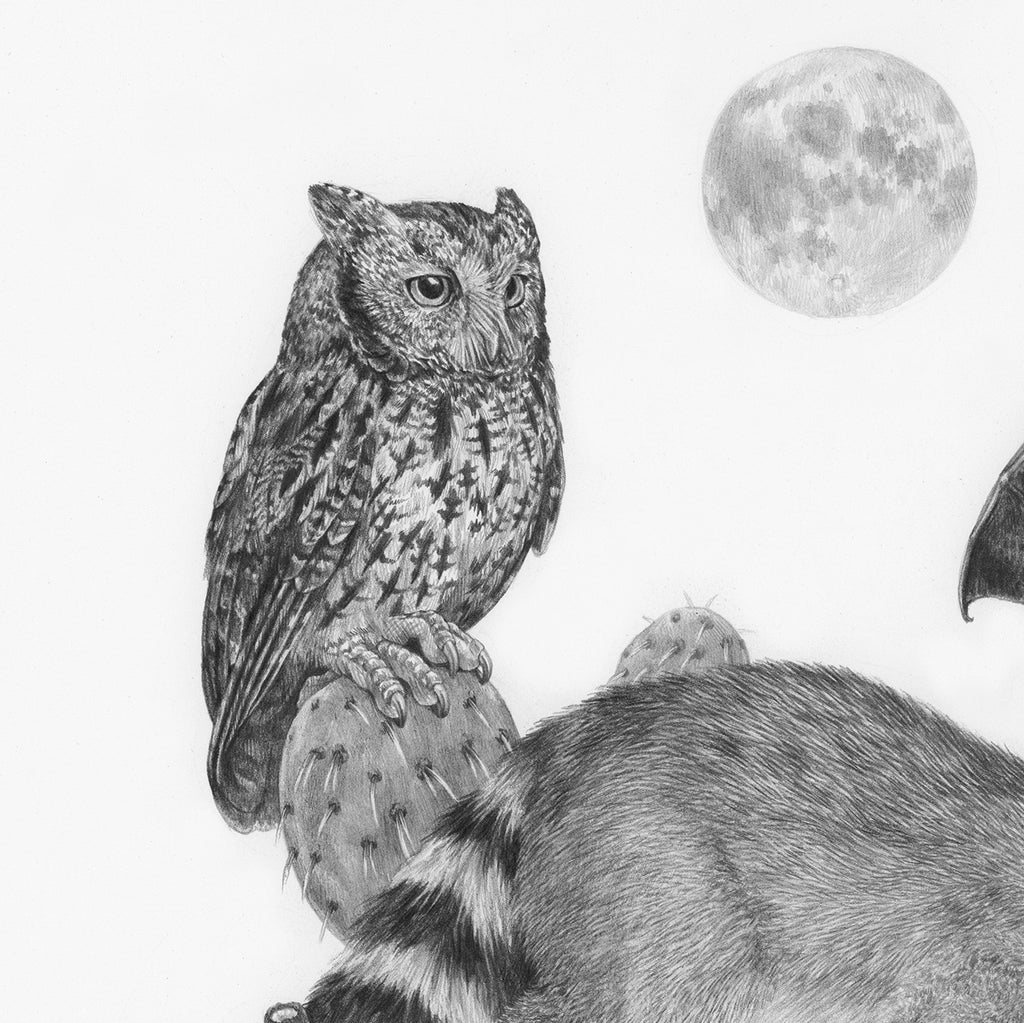 Zoe Keller - Zion at Night