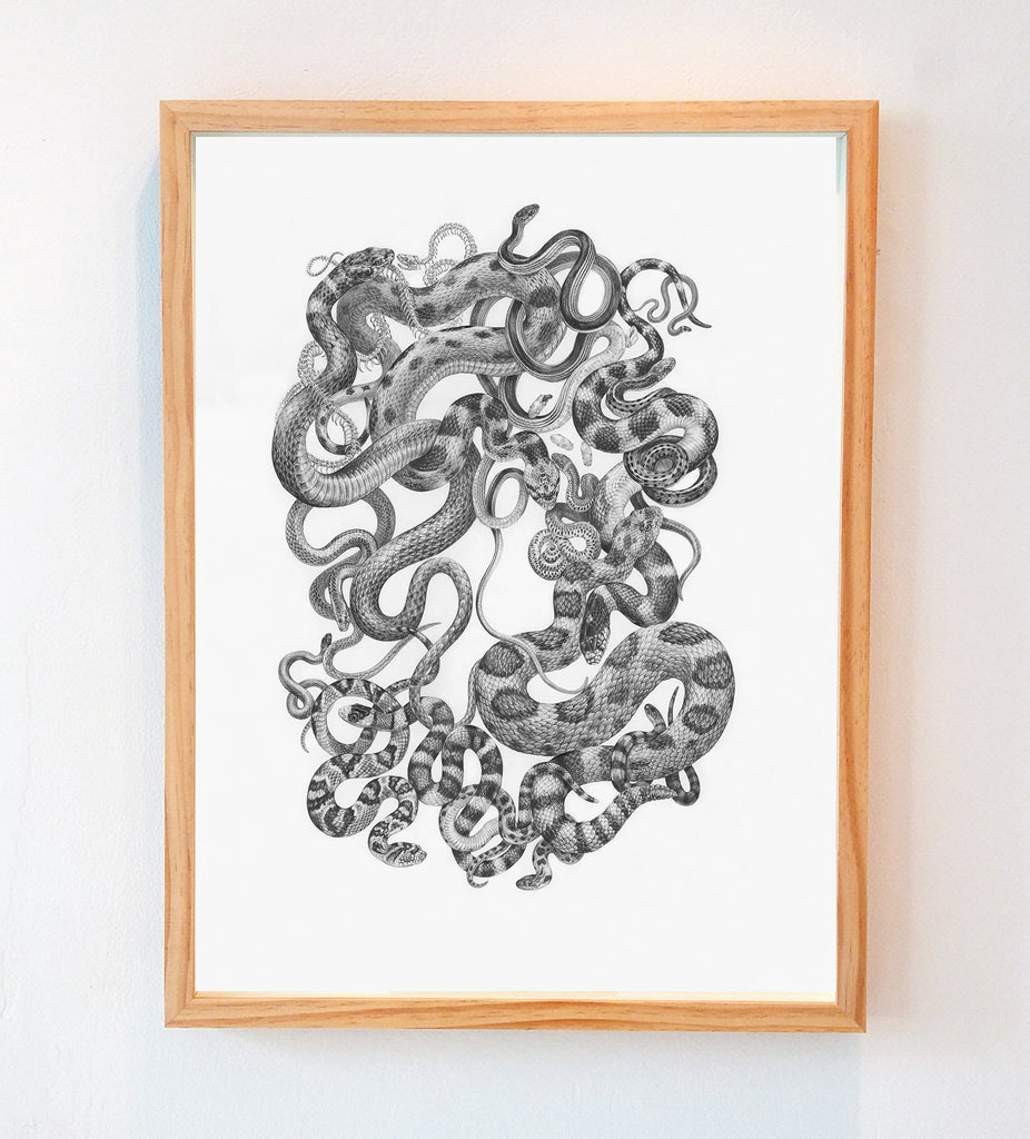 Zoe Keller - Snakes of Zion National Park