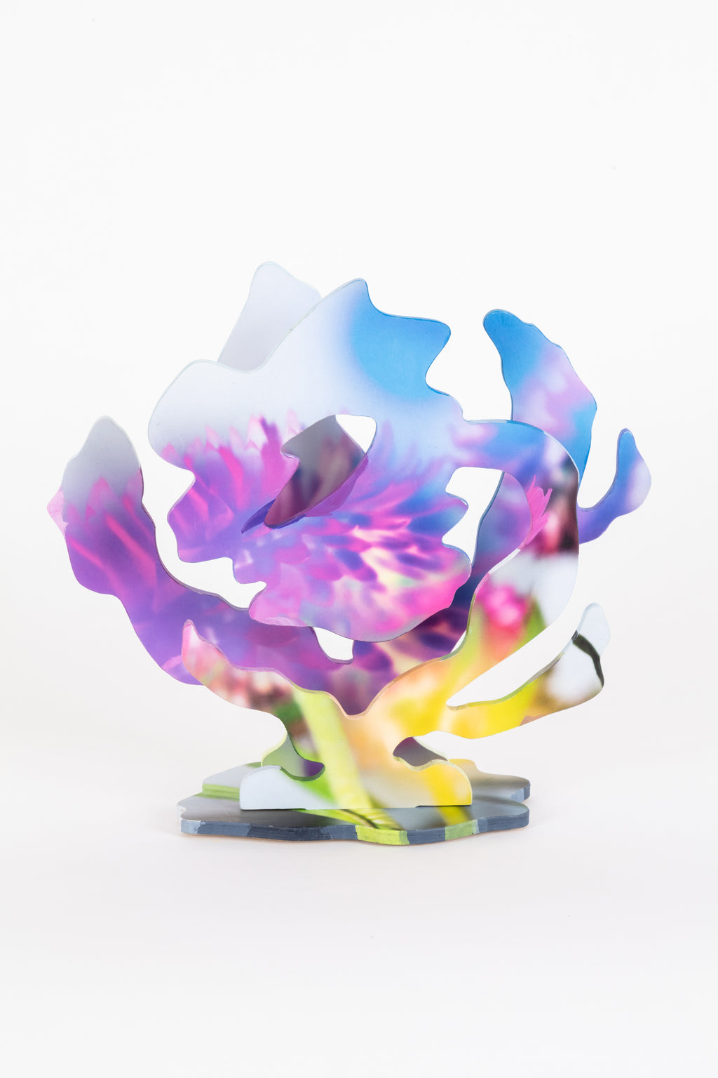 Chris Lael Larson - Color Cast