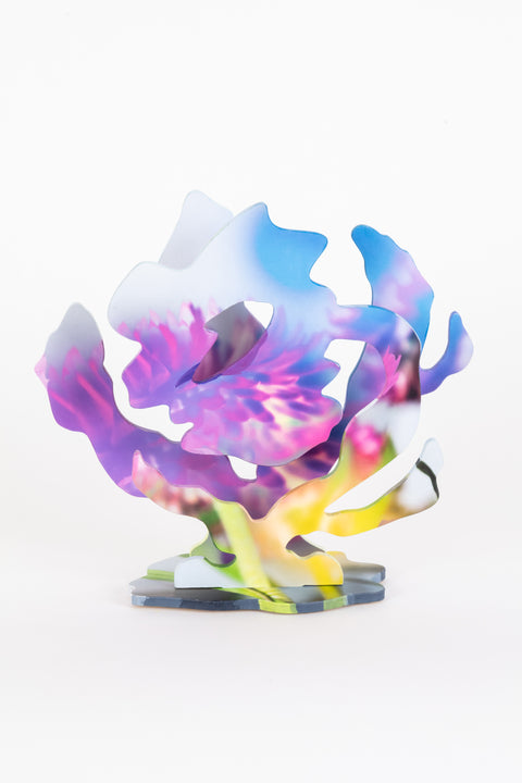 Chris Lael Larson - Color Cast