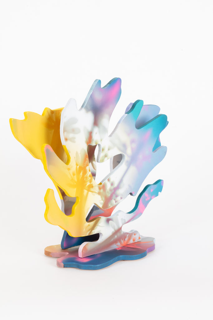 Chris Lael Larson - Cloud Light