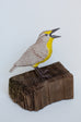Sarah Conti - Western Meadowlark