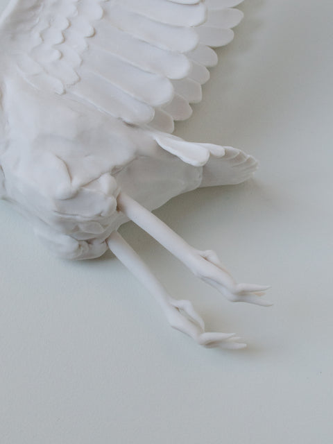 Sarah Conti - Ridgway’s Rail Pair