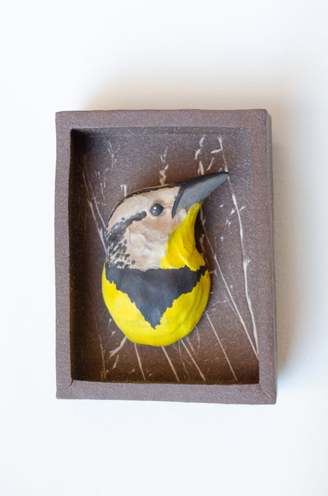 Sarah Conti - Eastern Meadowlark