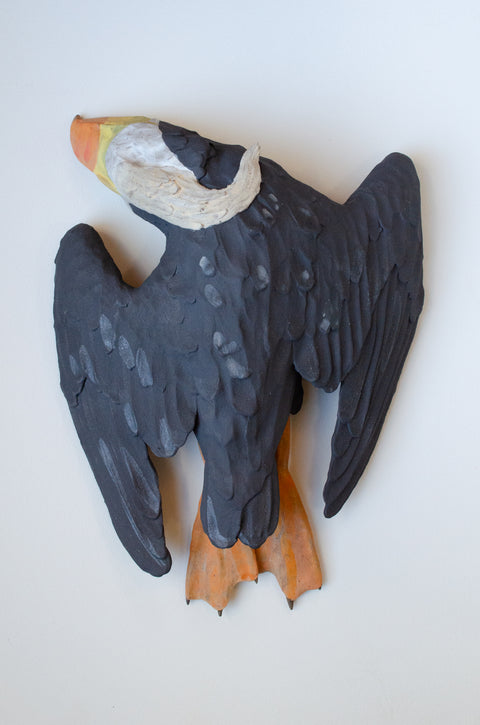 Sarah Conti - Tufted Puffin
