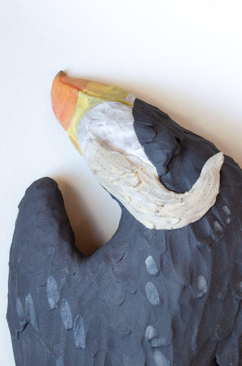 Sarah Conti - Tufted Puffin